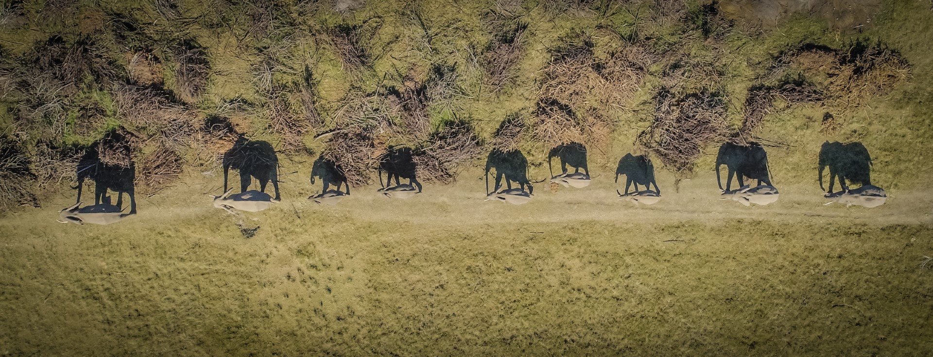 Contact drone photography Cape Town professional aerial services